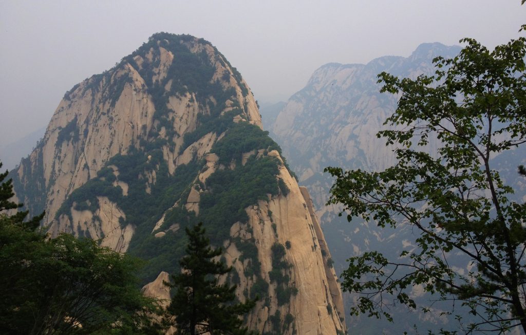 Main page Flower Mountain Acupuncture of Asheville